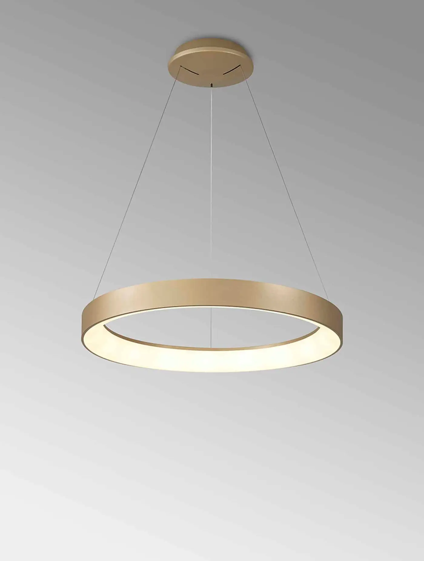 Wall light of gold base with gold circular shade
